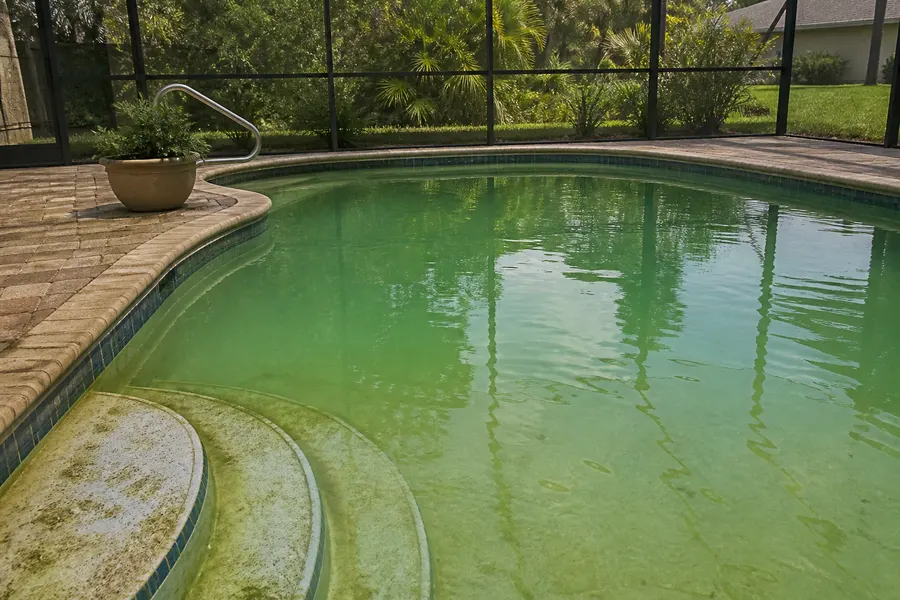 Algae growth on a residential screened pool in warm Florida conditions